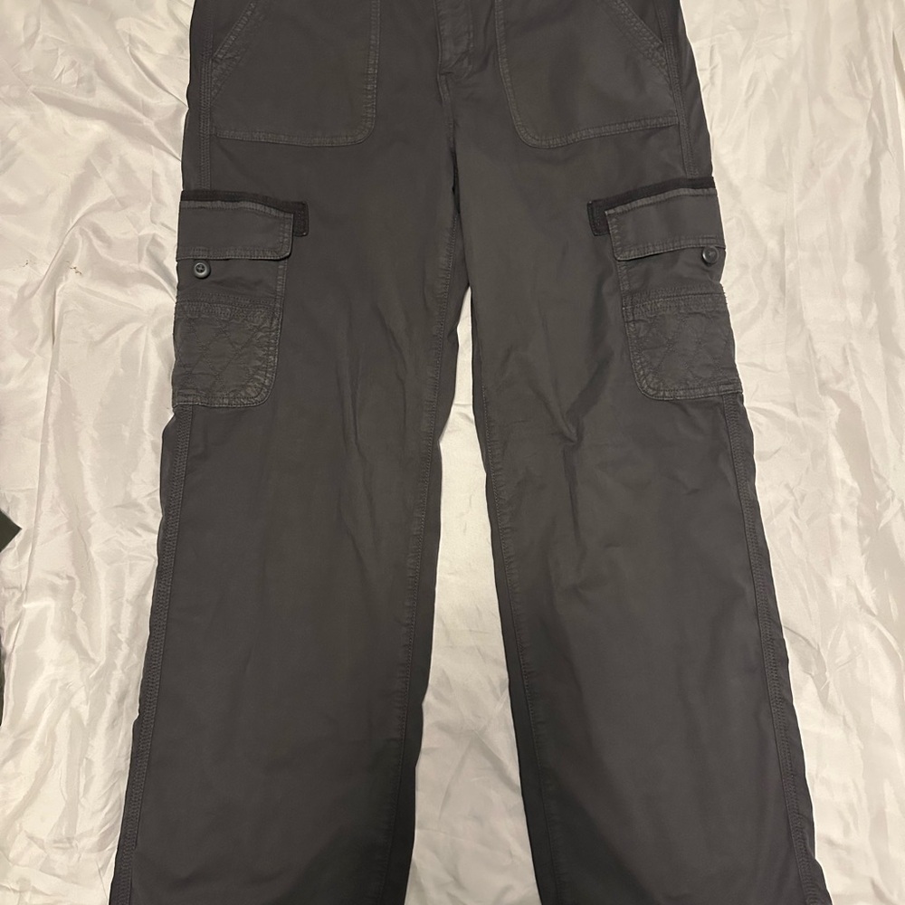 American Eagle Outfitters Dark Gray Cargo Pants - Picture 2 of 5
